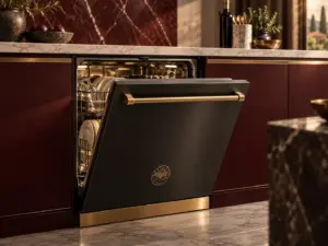 Bertazzoni dishwasher repair